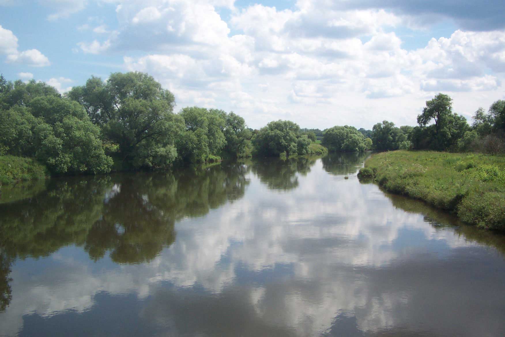 Die Mulde bei Dessau